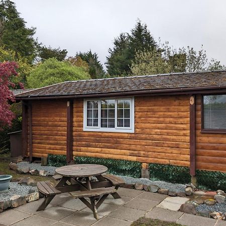 Snowdonia Log Cabin 2 Villa Trawsfynydd Ngoại thất bức ảnh